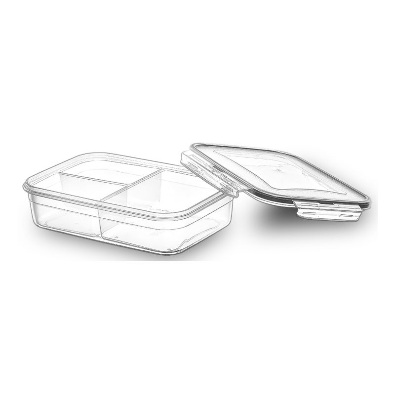 storage box with lid lock div. 3