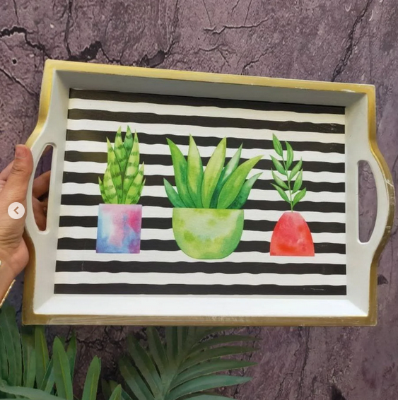 tray plexi plants